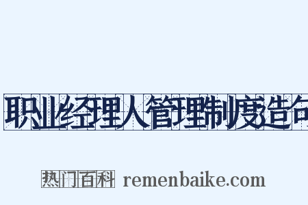职业经理人管理制度造句是什么意思的图片